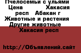 Пчелосемьи с ульями › Цена ­ 4 000 - Хакасия респ., Абакан г. Животные и растения » Другие животные   . Хакасия респ.